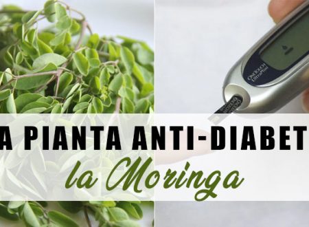La pianta anti-Diabete: la Moringa