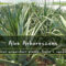 Dove comprare l'Aloe Arborescens Online